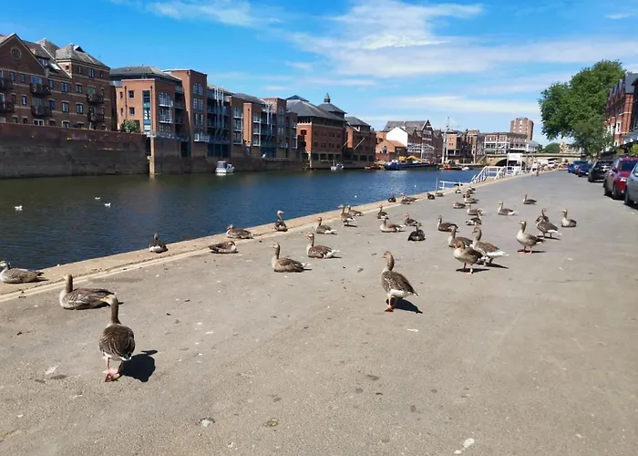 Hartoft St - 2 Bed Near River *